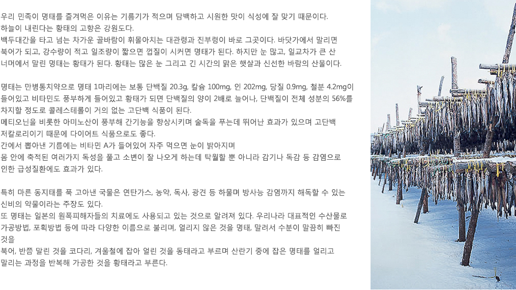 황태이야기